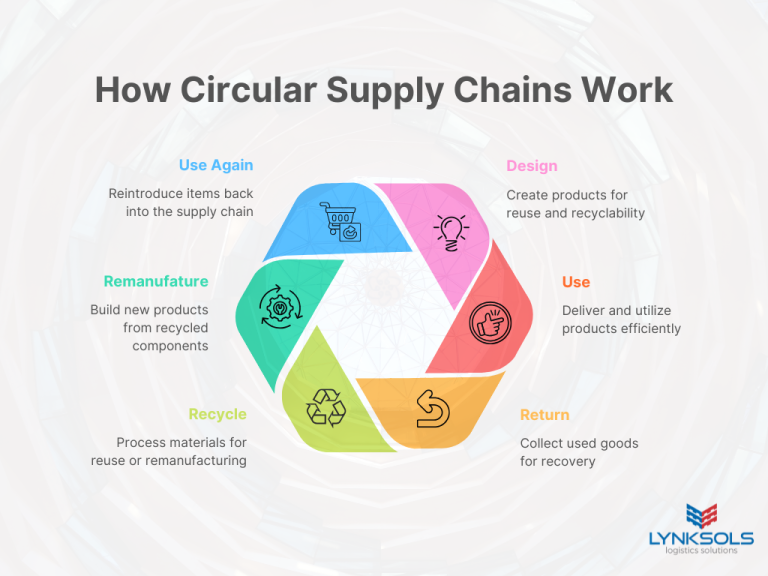 Circular supply chain infographic illustrating six stages: Design, Use, Return, Recycle, Remanufacture, and Use Again. The steps are arranged in a loop with arrows connecting each stage, and each phase is represented by a unique icon to visually explain the continuous flow of resources in a sustainable supply chain.